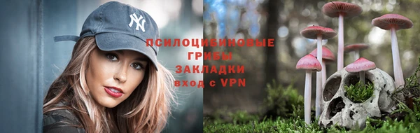 МДМА Алексеевка