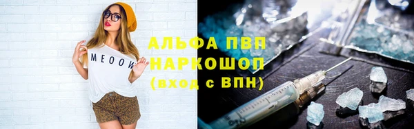 спиды Аркадак