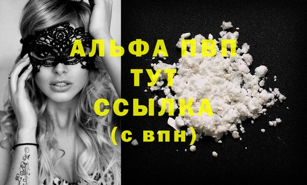 spice Арсеньев