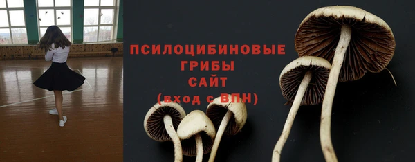 ALPHA PVP Заполярный