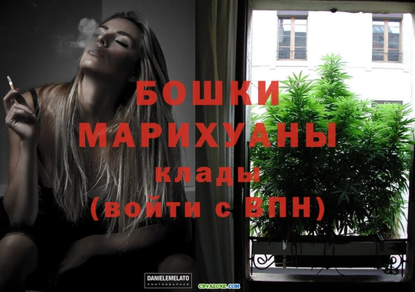 spice Арсеньев