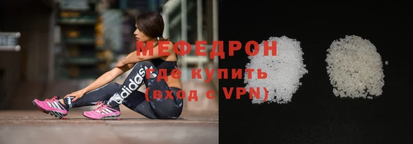 индика Заречный