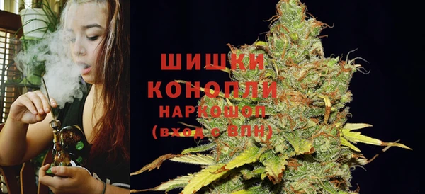 спиды Аркадак