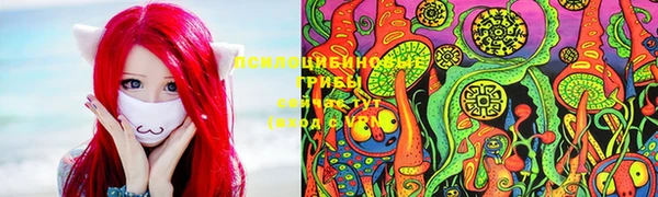 прущие крисы Армянск