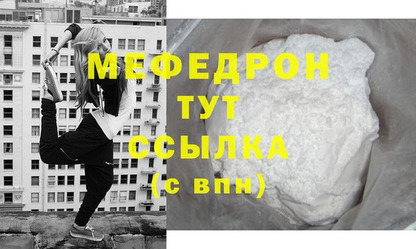 индика Заречный