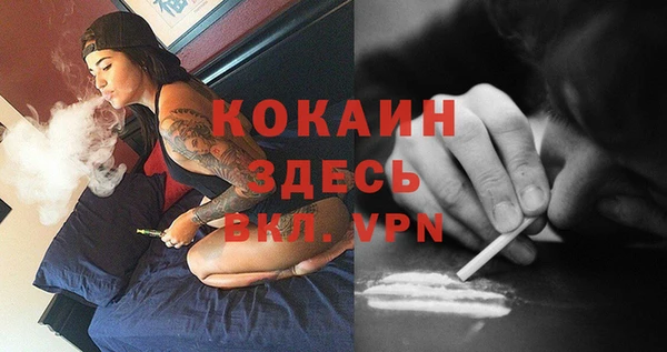 прущие крисы Армянск