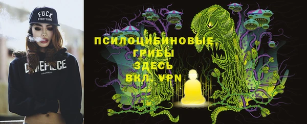 спиды Аркадак