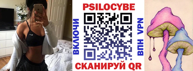 где найти   Кинель  Галлюциногенные грибы Magic Shrooms 