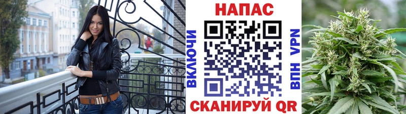 Канабис план Кинель